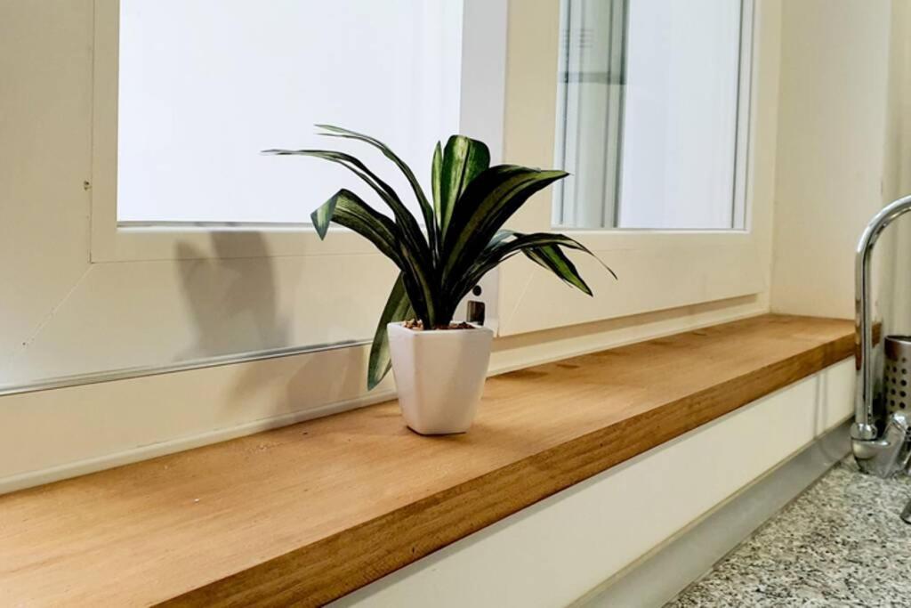 Apartamento Interior En Absoluto Centro En Algeciras 1º A Екстер'єр фото